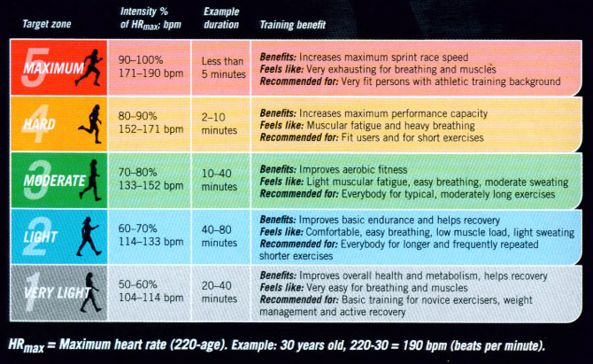 What is a healthy exercising heart rate?